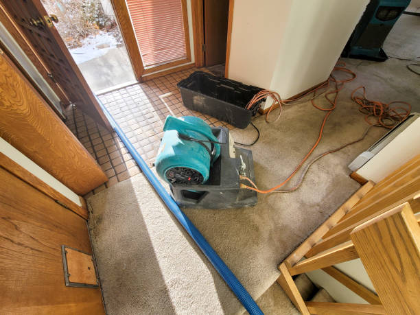 Best Water damage restoration company  in Quakertown, PA